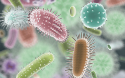 Anti-biotic Anti-Life