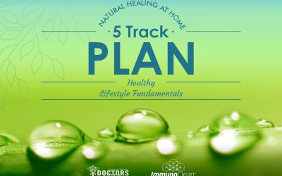 5 Track Plan