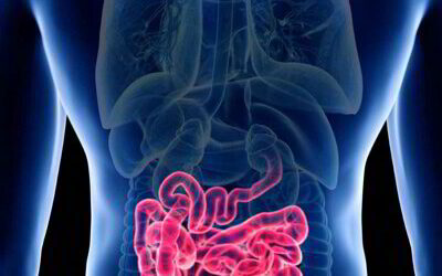 Is your gut making you sick?