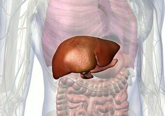 Liver Cleansing